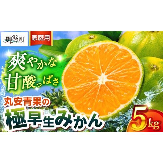 ふるさと納税 果物類 みかん 三重県 御浜町 丸安青果の極早生みかん5キロ(家庭用) 果物 フルーツ 訳あり 家庭用 蜜柑 みかん 極早生みかん 5kg 三重県 御浜町…