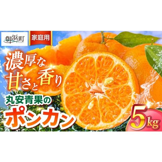 ふるさと納税 果物類 みかん 三重県 御浜町 2027年発送先行予約品 丸安青果のポンカン5キロ(家庭用) 果物 フルーツ みかん 訳あり 家庭用 蜜柑 ポンカン 5kg…