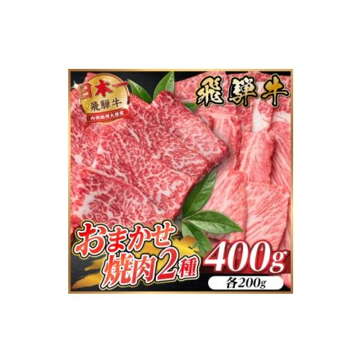 ふるさと納税 牛肉 焼肉・バーベキュー 岐阜県 羽島市 飛騨牛 おまかせ焼肉2種セット約400g(各約200g) 訳あり BBQ 上カルビ・ロースなど 1738938