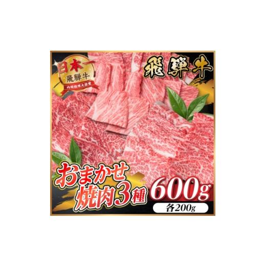 ふるさと納税 牛肉 焼肉・バーベキュー 岐阜県 羽島市 飛騨牛 おまかせ焼肉3種セット約600g(各約200g)訳あり BBQ 上カルビ・ロースなど 1739032