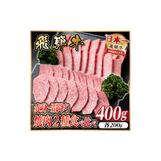ふるさと納税 牛肉 焼肉・バーベキュー 岐阜県 羽島市 飛騨牛 赤身・霜降り焼肉2種食べ比べセット(ヒレ・三角バラカルビ) 約400g(各200g)タレ付き 1745778