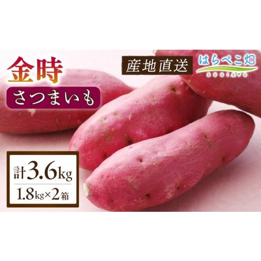 ふるさと納税 野菜類 サツマイモ 愛知県 西尾市 ホックホク食感の優しい甘み さつまいも金時 1.8kg 2箱・H115 1.8kg×2箱(3.6kg) /13,000円