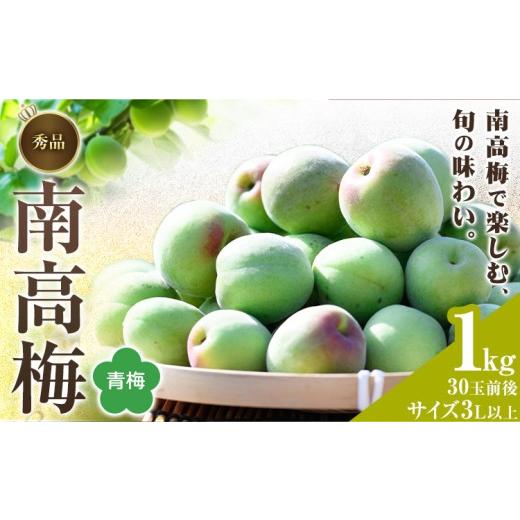 ふるさと納税 果物類 和歌山県 紀の川市 紀州南高梅 秀品(青梅) 3Lサイズ以上 1kg 和歌山県産 株式会社農業福祉研究機構[6月上旬-6月下旬頃出荷]和歌山県 紀…