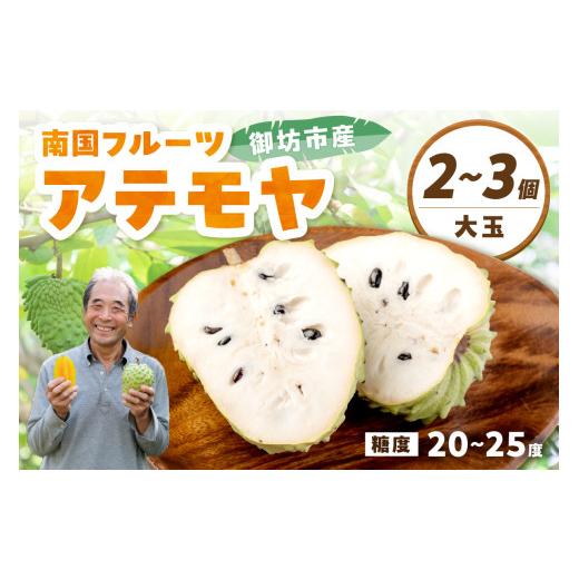 ふるさと納税 果物類 和歌山県 御坊市 テレビで紹介されました 御坊市産 南国フルーツ アテモヤ2〜3個大玉(1kg程度) 先行予約 2026年10月中旬頃から順次発…