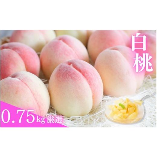 ふるさと納税 もも 和歌山県 紀美野町 桃 厳選 約0.75kg/ 白桃 もも 甘い 高級 和歌山 7月上旬〜8月中旬に順次発送 北海道・沖縄・離島への配送不可 ikd501-p…
