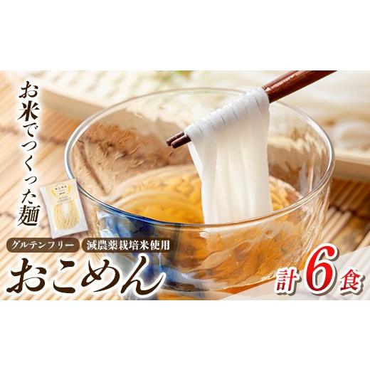 ふるさと納税 麺類 鹿児島県 姶良市 a1101-A おこめん(中麺) 1食100g(計6食) アグリベースAIRA 姶良市 麺 お米麺 グリテンフリー 計6食