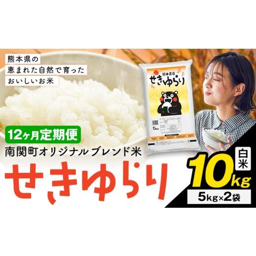 ふるさと納税 米 ブレンド 熊本県 南関町 12ヶ月定期便 米 南関町 せきゆらり 白米 10kg[お申込み翌月から出荷]熊本県産 国産 白米 こめ コメ 10キロ