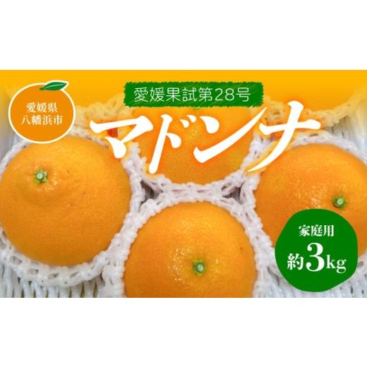 ふるさと納税 みかん・柑橘類 愛媛県 八幡浜市 先行受付 マドンナ(愛媛果試第28号) 家庭用 約3kg C76-7 _ みかん ミカン 柑橘 マドンナ まどんな くだもの 果…