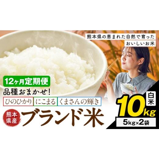 ふるさと納税 米 ブレンド 熊本県 南関町 12ヶ月定期便 米 南関町 単一原料米 (ひのひかりorにこまるorくまさんの輝き) 白米 10kg[お申込み翌月から出荷]熊…