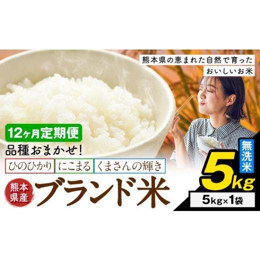 ふるさと納税 米 ブレンド 熊本県 南関町 12ヶ月定期便 米 南関町 単一原料米 (ひのひかりorにこまるorくまさんの輝き) 無洗米 5kg[お申込み翌月から出荷]…