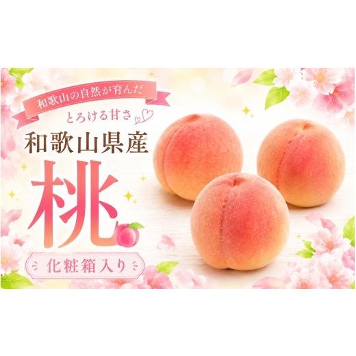ふるさと納税 もも 和歌山県 すさみ町 和歌山の厳選白桃 約0.75kg 白鳳・清水白桃・川中島・もも・はくとう 化粧箱入り / くだもの 果物 フルーツ