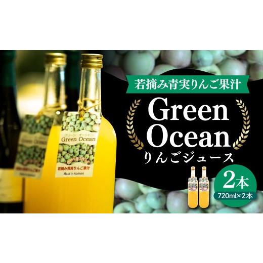 ふるさと納税 果汁飲料 りんご 青森県 五所川原市 りんごジュース 青森 ストレート 甘さ控えめ 720ml×2本 GreenOcean プレゼント 贈答 飲料 食事に合うりんご…
