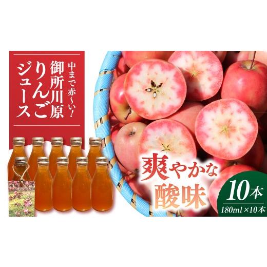 ふるさと納税 果汁飲料 りんご 青森県 五所川原市 御所川原 りんごジュース (180ml×10本) / ストレート果汁100% 果肉まで赤〜いりんご「御所川原」使用 ごし…