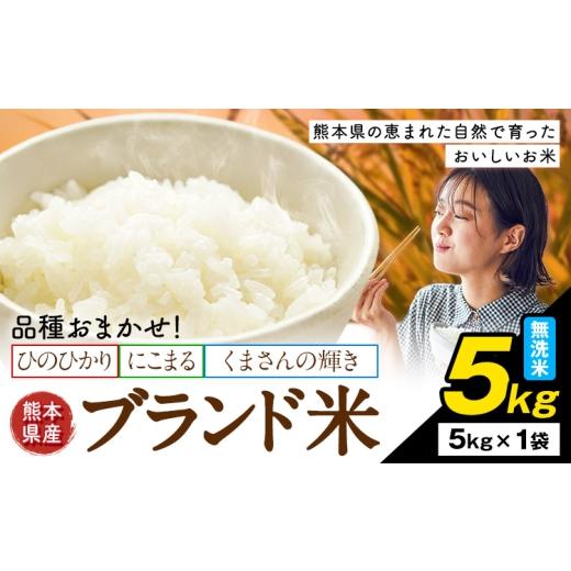 ふるさと納税 無洗米 熊本県 南関町 米 南関町 単一原料米 (ひのひかりorにこまるorくまさんの輝き) 無洗米 5kg[7-14日以内に出荷予定(土日祝除く)]熊本県産…