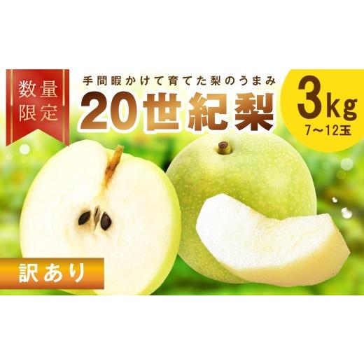ふるさと納税 梨 京都府 京丹後市 先行予約/数量限定100 訳あり 廿世紀梨 3kg(2026年9月上旬〜発送) フルーツ くだもの 国産 梨 二十世紀 20世紀 廿世紀 …