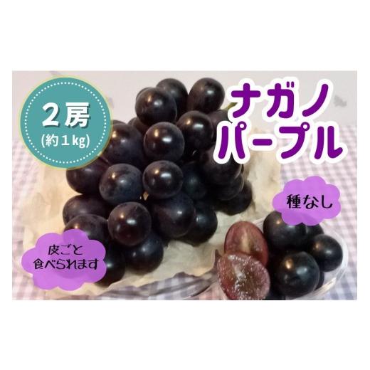 ふるさと納税 果物類 ぶどう 奈良県 広陵町 ナガノパープル2房(約1kg) ぶどう ナガノパープル フルーツ