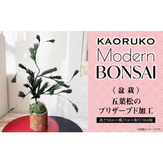 ふるさと納税 家具・装飾品 千葉県 木更津市 KAORUKO Modern BONSAI