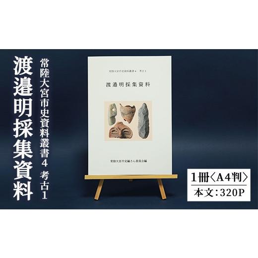 ふるさと納税 雑貨・日用品 本 茨城県 常陸大宮市 常陸大宮市史資料叢書4 考古1 渡邉明採集資料 考古資料 史料 市史 歴史 旧石器時代 縄文中期 弥生時代 遺…