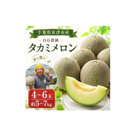 ふるさと納税 メロン メロン青肉 千葉県 富津市 タカミメロン4〜6玉(5〜7kg) 6月中旬〜7月末頃に発送 青肉メロン メロン フルーツ 果物 白石農園 千葉県 富…