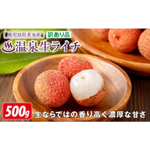ふるさと納税 果物類 鹿児島県 垂水市 A1-22564/ 訳あり品 期間限定 生ライチ 500g 訳あり 温泉水で育てた希少な 国産 ライチ