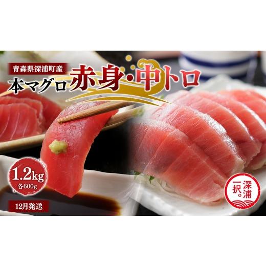 ふるさと納税 マグロ 青森県 深浦町 天然本マグロ 赤身 中トロ1.2kg 各600g 青森県深浦町産 食べ比べ 冷凍柵 深浦マグロ 刺身 海鮮 鮪 まぐろ fu-0015-023_12