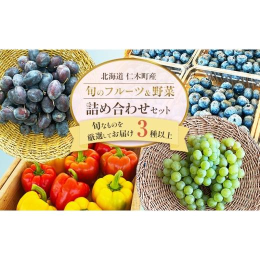 ふるさと納税 果物類 ぶどう 北海道 仁木町 先行受付/7月下旬発送 [ 旬のフルーツ&野菜詰め合わせ 3種以上 ] ぶどう プルーン ブルーベリー パプリカ きゅ…