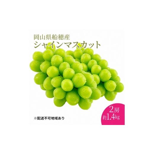 ふるさと納税 ぶどう マスカット 岡山県 高梁市   ぶどう 2026年 先行予約 プレミアムシャインマスカット 晴王 2房 合計約1.4kg 赤秀品以上 岡山…