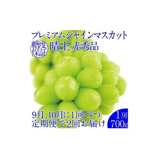 ふるさと納税 ぶどう マスカット 岡山県 高梁市   ぶどう 2026年 先行予約 2回定期便 プレミアムシャインマスカット 晴王 1房 約700g 人気 岡山県…