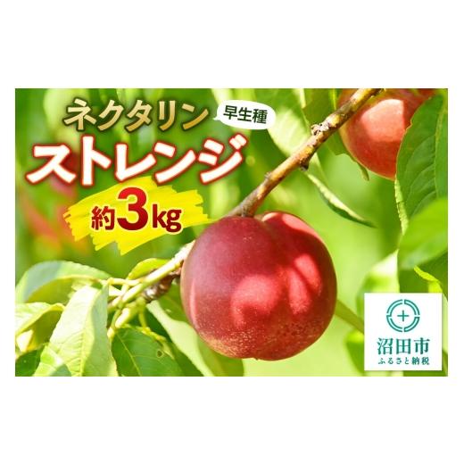 ふるさと納税 もも 群馬県 沼田市 ネクタリン 早生種 ストレンジ 約3kg(20個前後)希少品種 小粒 ご自宅用 フルーツ王国松井 数量限定 希少品種 夏の味覚 夏…
