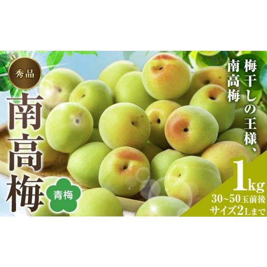 ふるさと納税 果物類 和歌山県 紀の川市 紀州南高梅 秀品(青梅) 2Lサイズまで 1kg 和歌山県産 株式会社農業福祉研究機構[6月上旬-6月下旬頃出荷]和歌山県 紀…