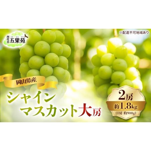 ふるさと納税 ぶどう マスカット 岡山県 玉野市 ぶどう 2026年 先行予約 シャイン マスカット 2房 合計1.8kg(1房 約900g)大房 岡山県産 四代目 五果苑 果物…