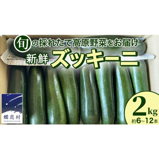 ふるさと納税 野菜類 群馬県 嬬恋村 旬の採れたて 新鮮 ズッキーニ 2kg (約6〜12本) 野菜 夏野菜 やさい 嬬恋村 高原野菜 先行予約 BT003tu