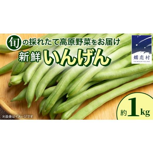 ふるさと納税 野菜類 群馬県 嬬恋村 7月上旬発送開始 旬の採れたて 新鮮 いんげん 約1kg 野菜 根菜 インゲン 豆 生野菜 お弁当 BT004tu