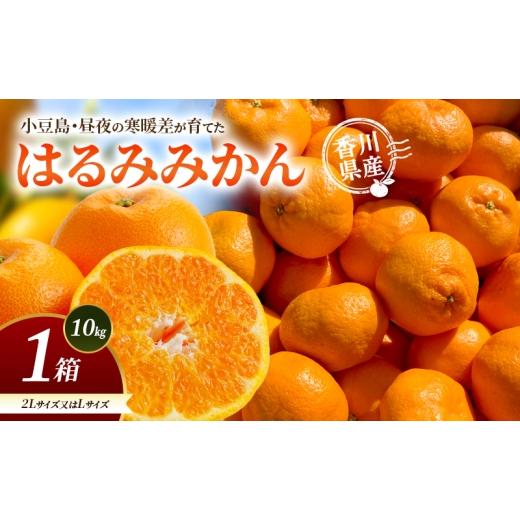 ふるさと納税 果物類 みかん 香川県 土庄町 小豆島・昼夜の寒暖差が育てたはるみみかん 2L又はL 1箱(10kg) はるみ みかん 柑橘 フルーツ 果物 くだもの 香川 …