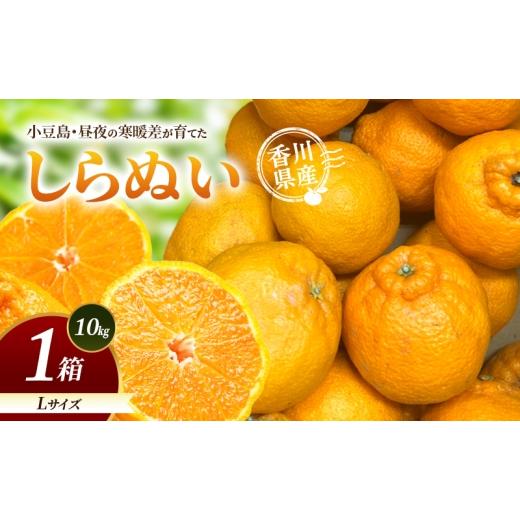 ふるさと納税 みかん・柑橘類 デコポン 香川県 土庄町 小豆島・昼夜の寒暖差が育てたしらぬい L 1箱(10kg) しらぬい 不知火 柑橘 フルーツ 果物 くだもの 香川…