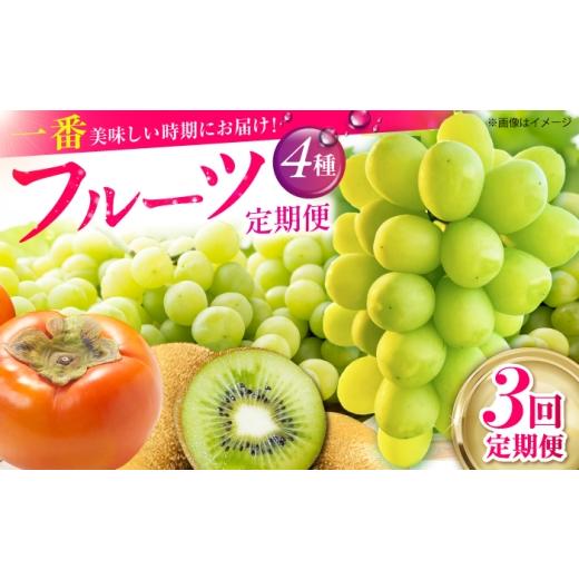 ふるさと納税 果物類 ぶどう 佐賀県 江北町 全3回定期便 旬のフルーツ定期便 (ぶどう2種・柿・キウイ) 江北町ふるさと納税