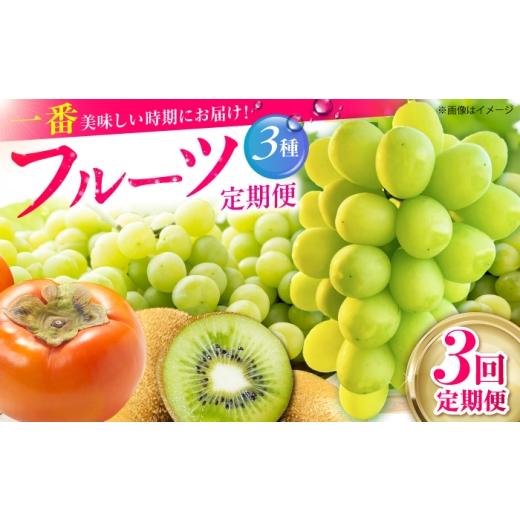 ふるさと納税 ぶどう マスカット 佐賀県 江北町 全3回定期便 旬のフルーツ定期便 (シャインマスカット・柿・キウイ) 江北町ふるさと納税
