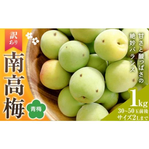 ふるさと納税 果物類 和歌山県 紀の川市 紀州南高梅 訳あり(青梅) 2Lサイズまで 1kg 和歌山県産 株式会社農業福祉研究機構[6月上旬-6月下旬頃出荷]和歌山県 …