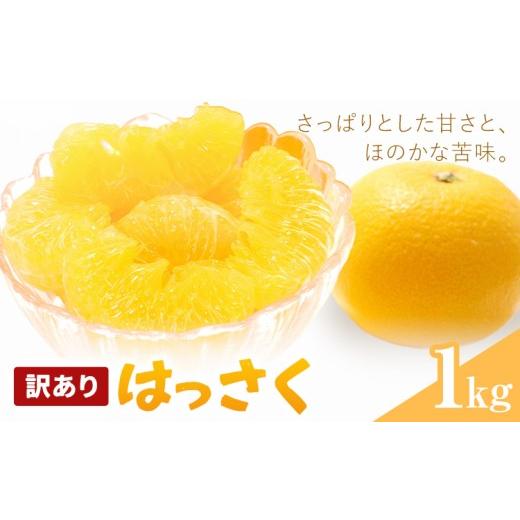 ふるさと納税 みかん・柑橘類 和歌山県 紀の川市 はっさく 訳あり 1kg 株式会社農業福祉研究機構[2027年1月上旬-2月下旬頃出荷]和歌山県 紀の川市 送料無料 …