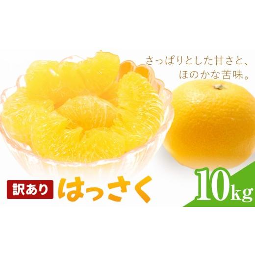 ふるさと納税 みかん・柑橘類 和歌山県 紀の川市 はっさく 訳あり 10kg 株式会社農業福祉研究機構[2027年1月上旬-2月下旬頃出荷]和歌山県 紀の川市 送料無料…