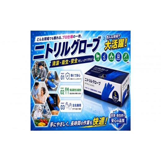ふるさと納税 雑貨・日用品 愛知県 名古屋市 ニトリルグローブL 100枚入り 2箱 Lサイズ