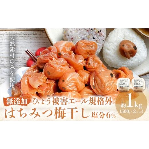 ふるさと納税 加工品等 梅干 和歌山県 岩出市 無添加梅干し ひょう被害エール規格外はちみつ梅干し 塩分6% 1kg 500g 2パック 農業法人 株式会社紀州梅香[30日…