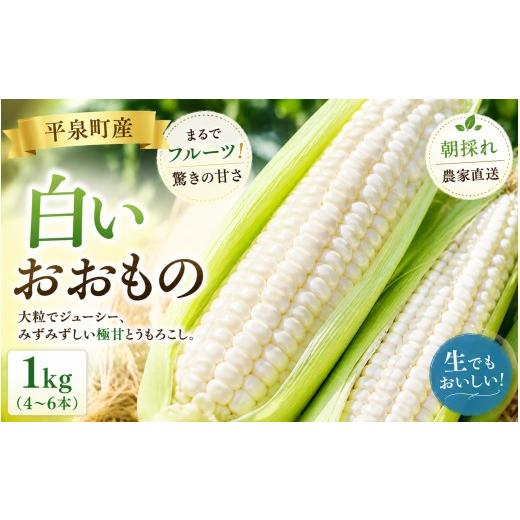 ふるさと納税 とうもろこし 岩手県 平泉町 7月下旬〜8月上旬発送 平泉町産 白い おおもの とうもろこし 1kg (4〜6本) / トウモロコシ 野菜 やさい 甘い 濃厚…