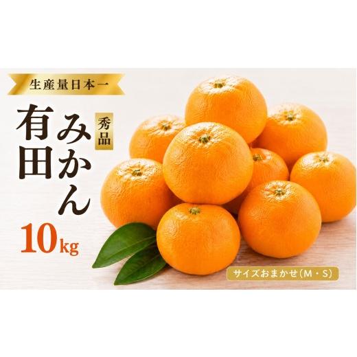 ふるさと納税 果物類 みかん 和歌山県 串本町 特選 紀州 有田みかん 10kg サイズおまかせ(М・S) 2026年11月下旬より順次発送予定(お届け日指定不可)/ 温…