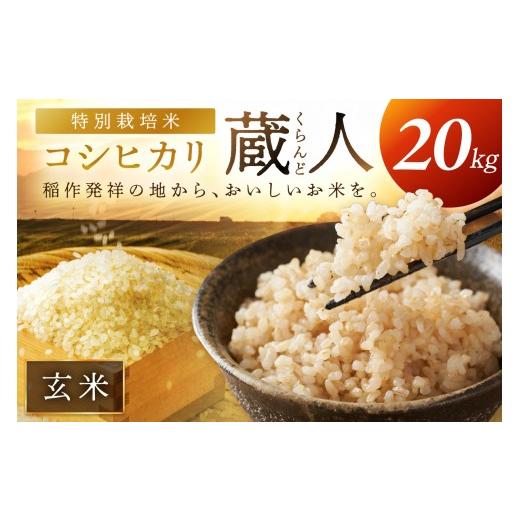 ふるさと納税 玄米 京都府 京丹後市 令和8年産 特別栽培米コシヒカリ 蔵人(くらんど) 玄米20kg 特別栽培米 コシヒカリ 蔵人 おこめ 京都産 ふるさと納税 玄…