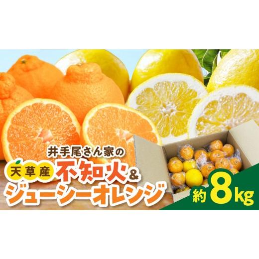 ふるさと納税 果物類 みかん 熊本県 天草市 S086-009_ 数量限定 井手尾さん家が丹精込めた天草の不知火とジューシーオレンジ 計約8kg