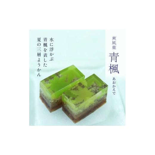 ふるさと納税 和菓子 京都府 長岡京市 夏限定羊羹・青楓 ふるさと納税 夏限定 羊羹 ようかん 粒餡 つぶあん 和菓子 わがし 京都府 長岡京市