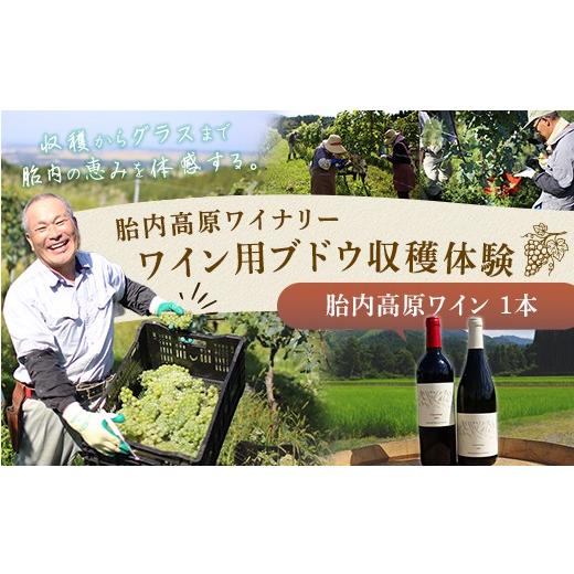 ふるさと納税 体験チケット 新潟県 胎内市 胎内高原ワイナリー ワイン用ブドウ収穫体験 ワイン1本付き