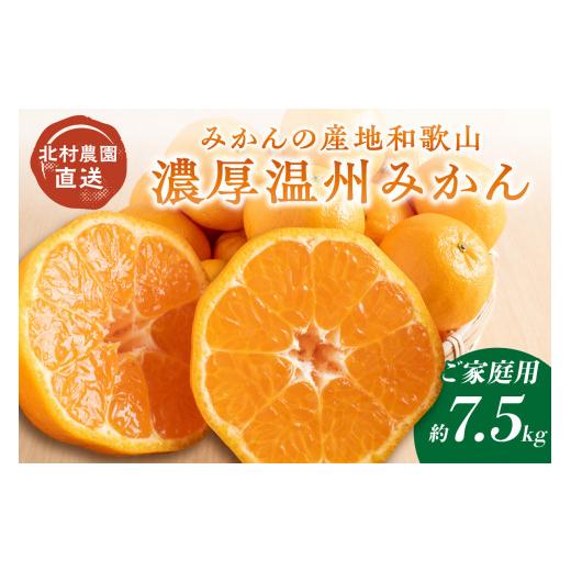 ふるさと納税 果物類 みかん 和歌山県 御坊市 和歌山の農園直送北村農園の天田みかん7.5kg(家庭用)