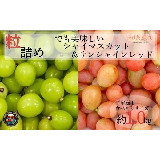 ふるさと納税 ぶどう マスカット 山梨県 南アルプス市 2026年度先行予約 もったいないを美味しく。SDGs 粒 2種ぶどう 1kg相当 ALPAJ068 | 令和8年発送 数…